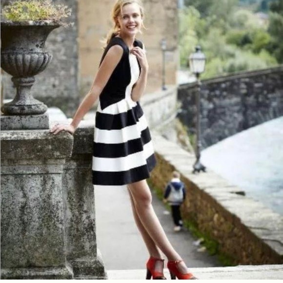 ANTHRO Eva Franco Hollie black & white dress - Picture 3 of 11